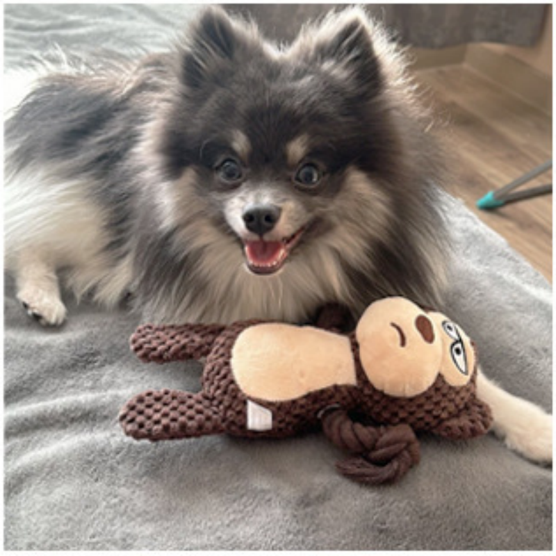 Pet Plush Vocal Cotton Rope Toys Dogs Interactive Paper Sound Squeaky Toys self-hearing boredom teething resistant chewing not rotten Puppy Small Large Dog vocal Chew toys With Crinkle Paper