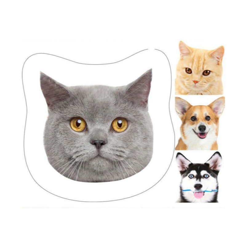 Pet Face Dogs Cats Custom Pillow Photo Personalized Pillow Pet Big Face Pillow Pet Birthday Gift Portrait Pillow