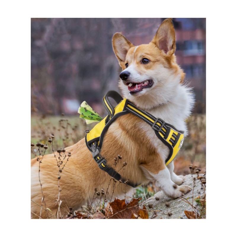 Large Dog Harness Explosion-proof Impact Dog Chest Harness Reflective Vest With Storage Pocket Dog Harness